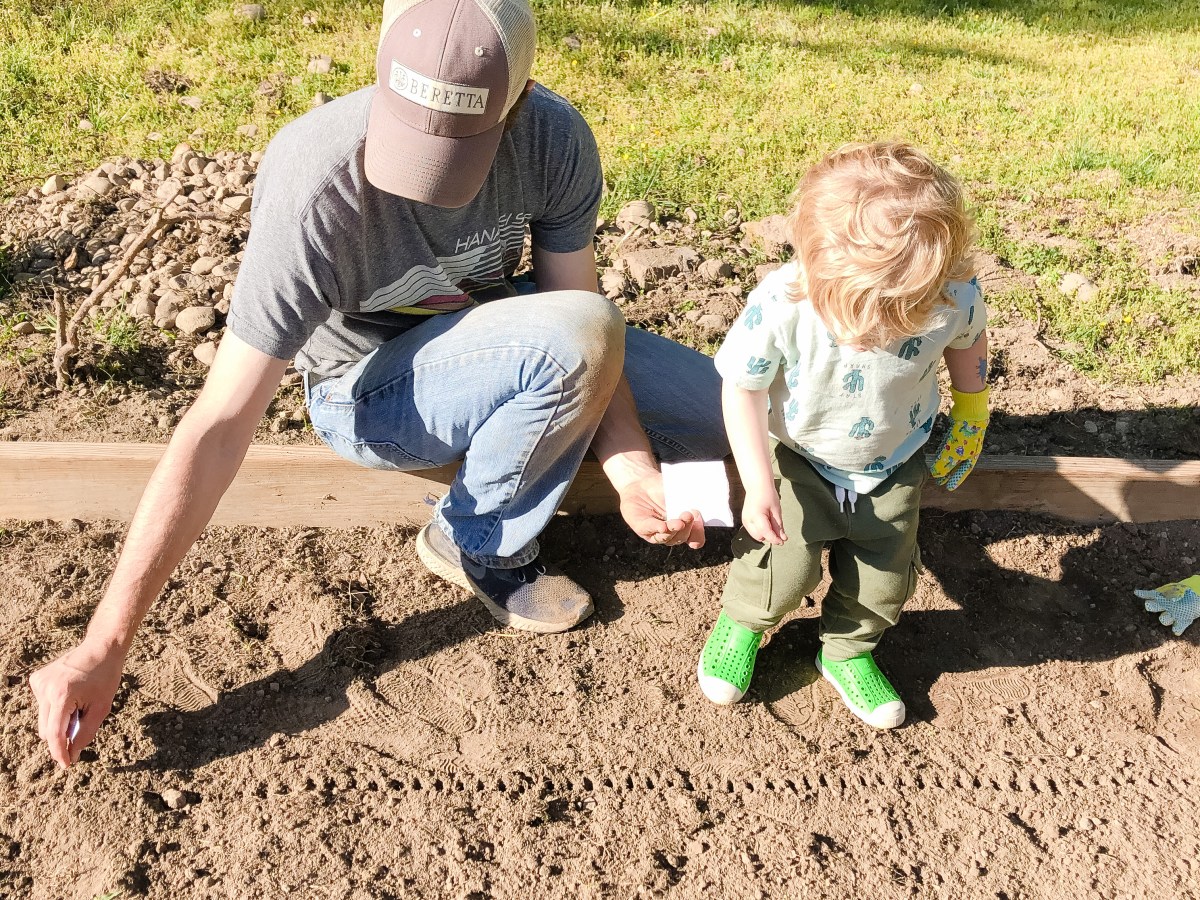 What we’re planting in our 2021 Vegetable&nbsp;Garden