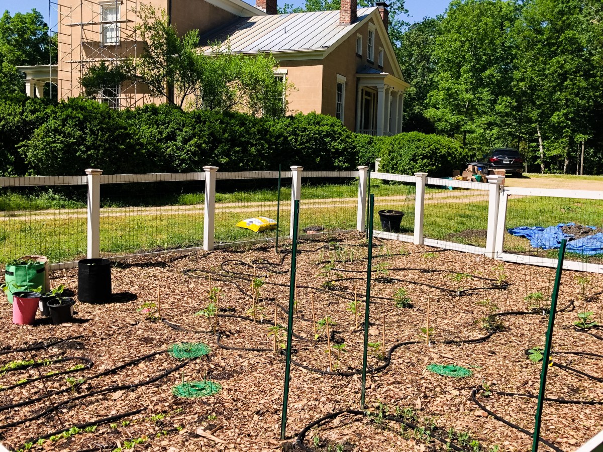 It’s Time to Plant, Let’s&nbsp;Go!